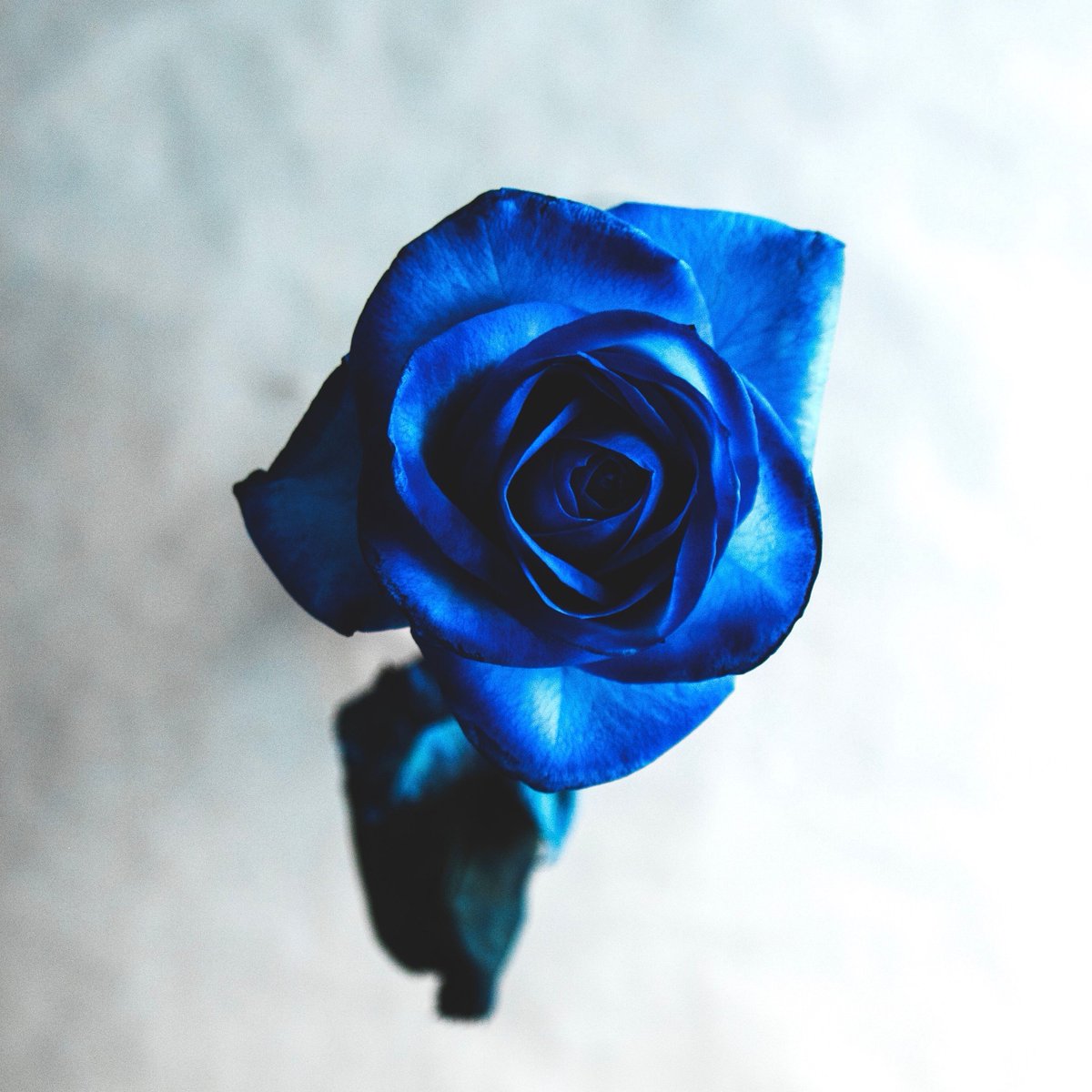 GlacierVehicles's tweet photo. Are you valentines ready??
#glaciervehicles #refrigeratedvans #fridgevans #freezervans #chillervans #refrigeratedvehicles #fridgevehicles #freezervehicles #chillervehicles #butchers #fishmongers #caterers #weddingcaterers #streetfood #icecream #ice #cheesemongers #farmshop https://t.co/cvgWb21sUb