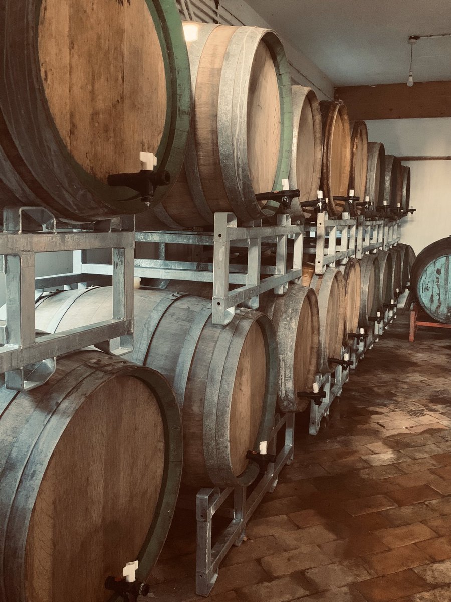 LittleEarthBeer's tweet photo. Over the last 8 months we have been slowly filling barrels with a base golden wort. This golden sour will be blended, over the coming months and years, to create a range of fruited sours as well as a house golden sour. https://t.co/oXXWNpxQLv