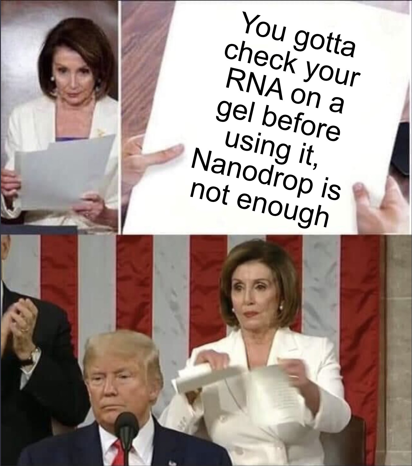 Jr RNA Scientists on Twitter: