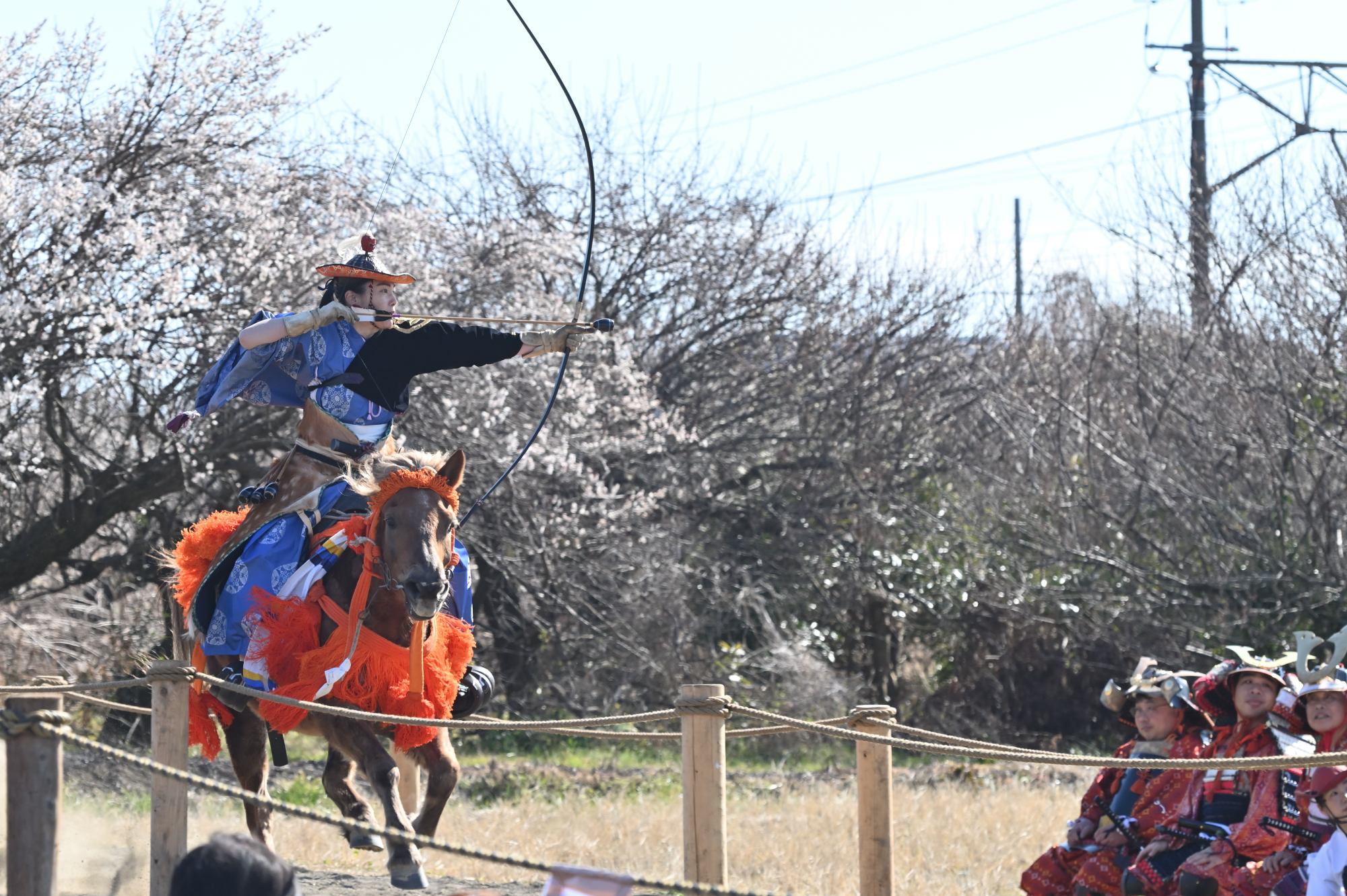Mako123 No Twitter 女性射手がいらっしゃるのが武田流 凛とした雰囲気でとてもかっこいいのです 武田流流鏑馬 曽我梅林 T Co Ya0i2ksoeb Twitter
