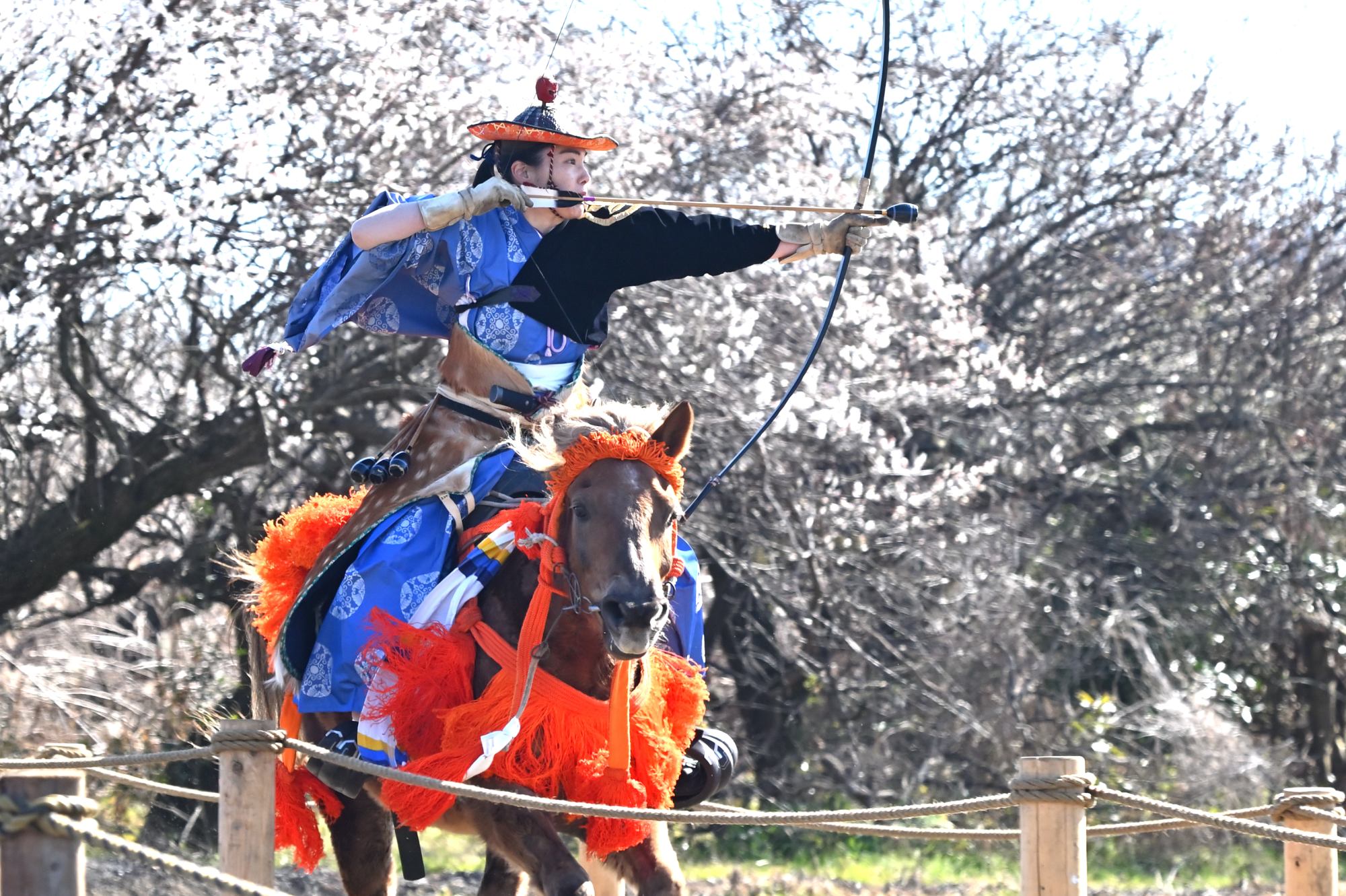 Mako123 走り抜ける そして二の的へ 射ち姿後ろ姿もかっこいいのです 武田流流鏑馬 曽我梅林 T Co Idqe9wgxl4 Twitter