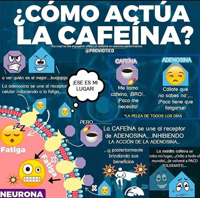 posturalbcn's tweet photo. Según la investigadora Hanan Qasin, la cafeína es capaz de bloquear las moléculas que inducen el sueño, concretamente bloqueando los receptores de adenosina.

#saludybienestar #saludable #saludesvida #bienestartotal #bienestarparatodos
Imagen:@unmundosal… https://t.co/tB7PiGikql https://t.co/wevaI5079d