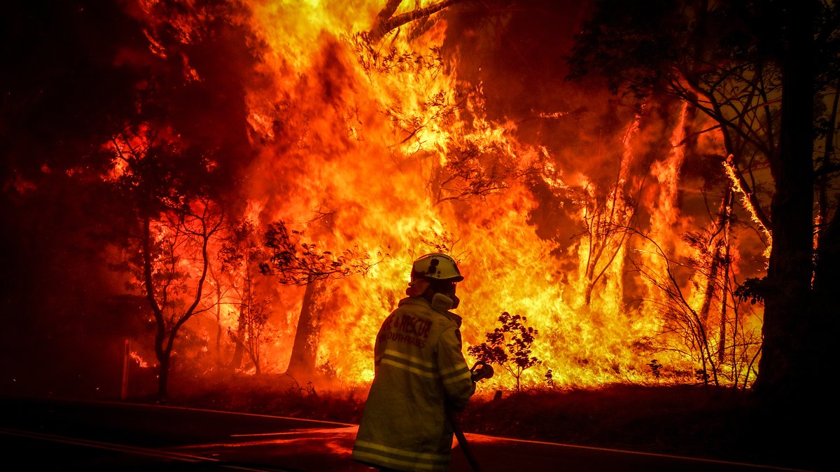 co2nsensus's tweet photo. The emissions from wildfires have declined in past years, but it rose again in 2019.⚠️⁣⁣
⁣⁣
It’s expected to have more wildfires in the future but the question is, will 2019 stay as the year of highest carbon emissions caused by wildfires or is it just a beginning?🥺⁣ https://t.co/s8Jrv8WxHl