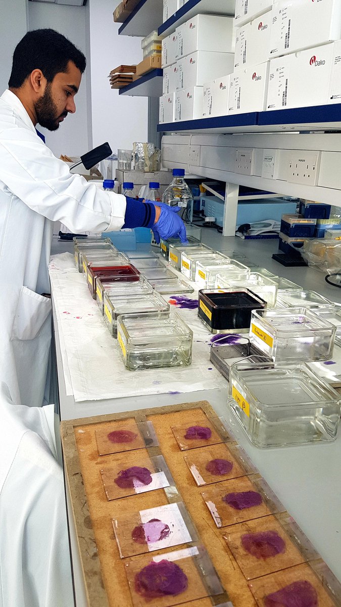Sometimes we just need to go old skool...delighted to welcome our hard working students into our lab. Wael, <a href="/dundeeuni/">University of Dundee</a> mastering H&amp;E hand staining of megaslides. If you have projects that require some teaching support please do speak with us to find out how we can help.