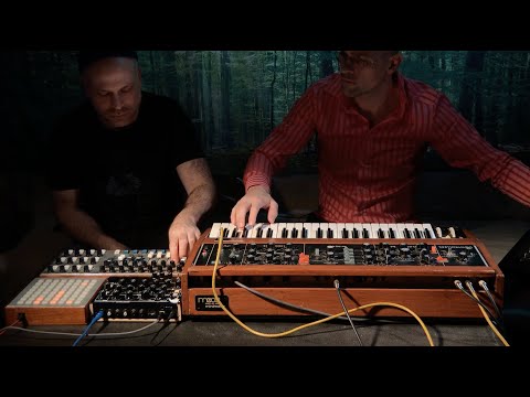 New Post:  skinnerbox - sofa #7 (minimoog, minitaur, ableton) dlvr.it/RPvcjP