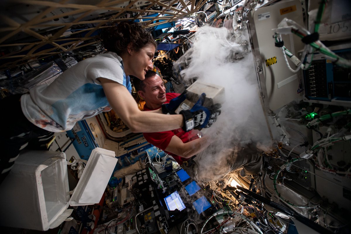 NASA_Astronauts's tweet photo. We have the best jobs on (and off) the planet💫
Have you always wanted to #BeAnAstronaut? Now is your chance! @NASA is hiring the next generation of #Artemis astronauts. We're accepting application from March 2-31 online at https://t.co/UZywp7gj8s. Do you have what it takes? https://t.co/47CWIkyGar
