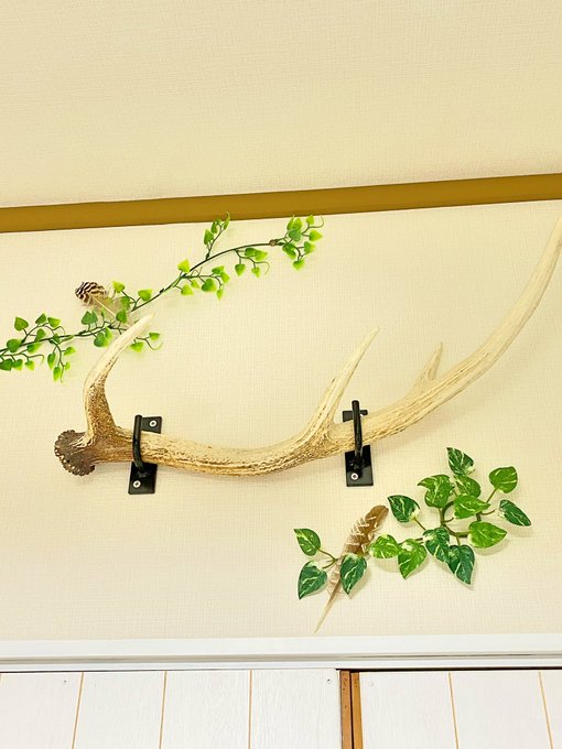 鹿の角かわいいよのtwitterイラスト検索結果