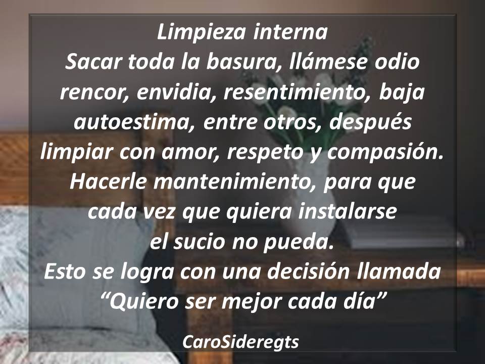 Caro Sideregts on Twitter: 
