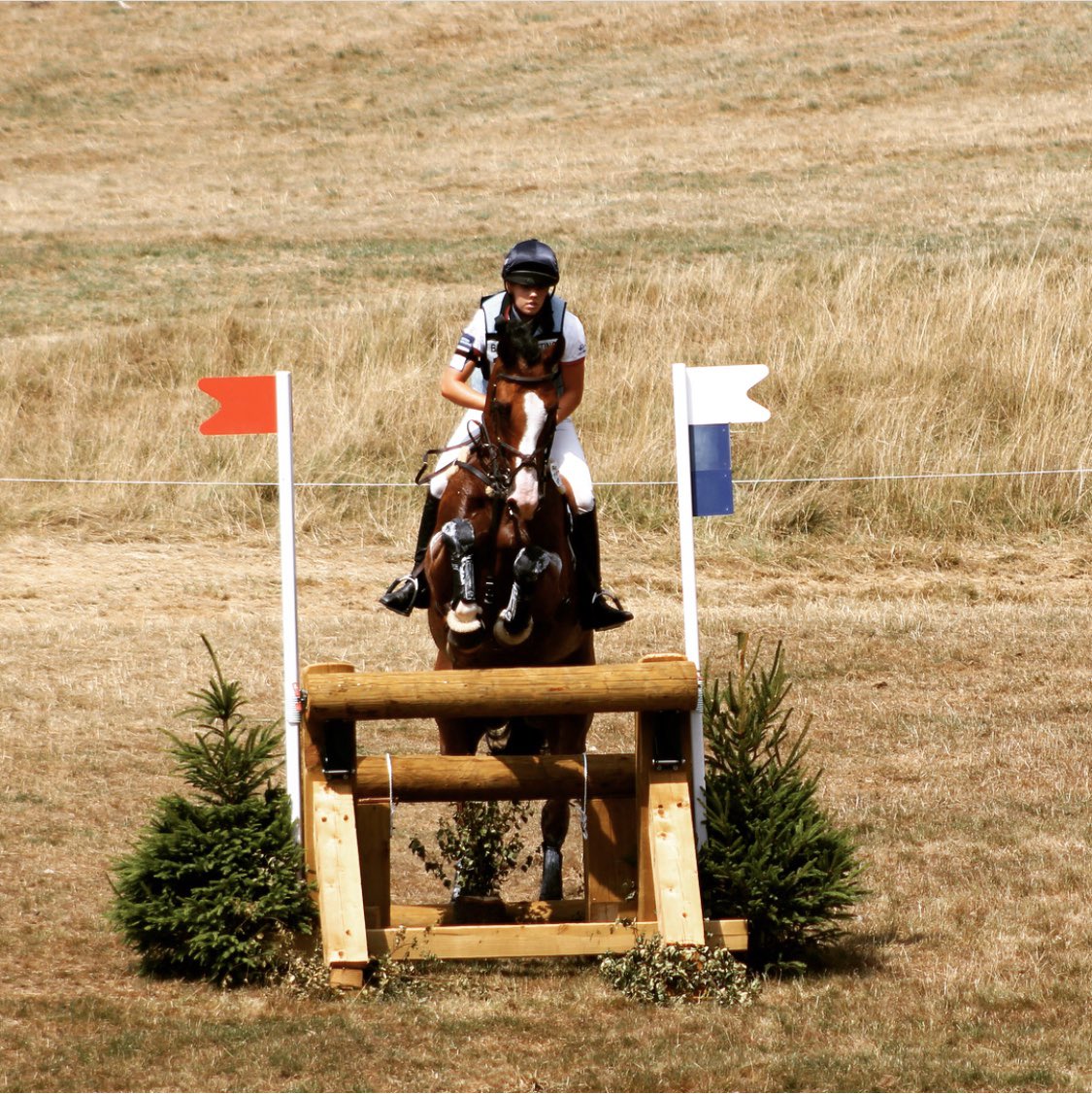 Albert ❤️🤗 Be grateful for the past. Live in the present. Look forward to the future ✨<a href="/AriatEurope/">Ariat Europe</a> <a href="/aqueoscare/">Aqueos</a> <a href="/GatehouseHats/">Gatehouse Hats</a> <a href="/GAINEquine/">GAIN Equine Nutrition</a> <a href="/SederholmLtd/">Sederholm Ltd</a> <a href="/equineprodsuk/">Equine Products UK Ltd</a> <a href="/Brownedaughters/">Browne and Daughters</a>  <a href="/Lauralongcroft/">Laura Day</a>