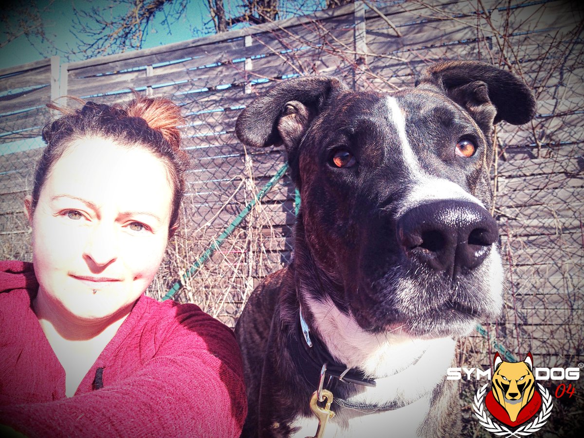 sym_dog_04's tweet photo. Vouloir sauver un chien est une noble cause...
L'important n'est pas d'accumuler une quantité de sauvetage, mais d'en faire de qualité  ;)
#symdog04 #symdog #amstaff #educateurcanin #educationcanine #chien #chiens #paca #castellane #alpesdehauteprovence #rescuedog https://t.co/Z0YwjpXAyO