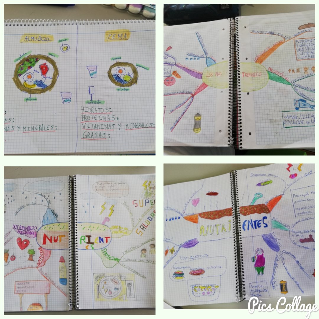 nazaretlapalma's tweet photo. #4PRIMARIA #PROYECTO #English Alimentamos nuestro cerebro con nuevos conceptos en dos idiomas:Nutrientes, dieta equilibrada, hábitos saludables,Nutrients,balanced diet, healthy habits. #VamosContigo #BeLiveBeLife @coleinnovadores @nazaretcuida https://t.co/5fEcviA6hq