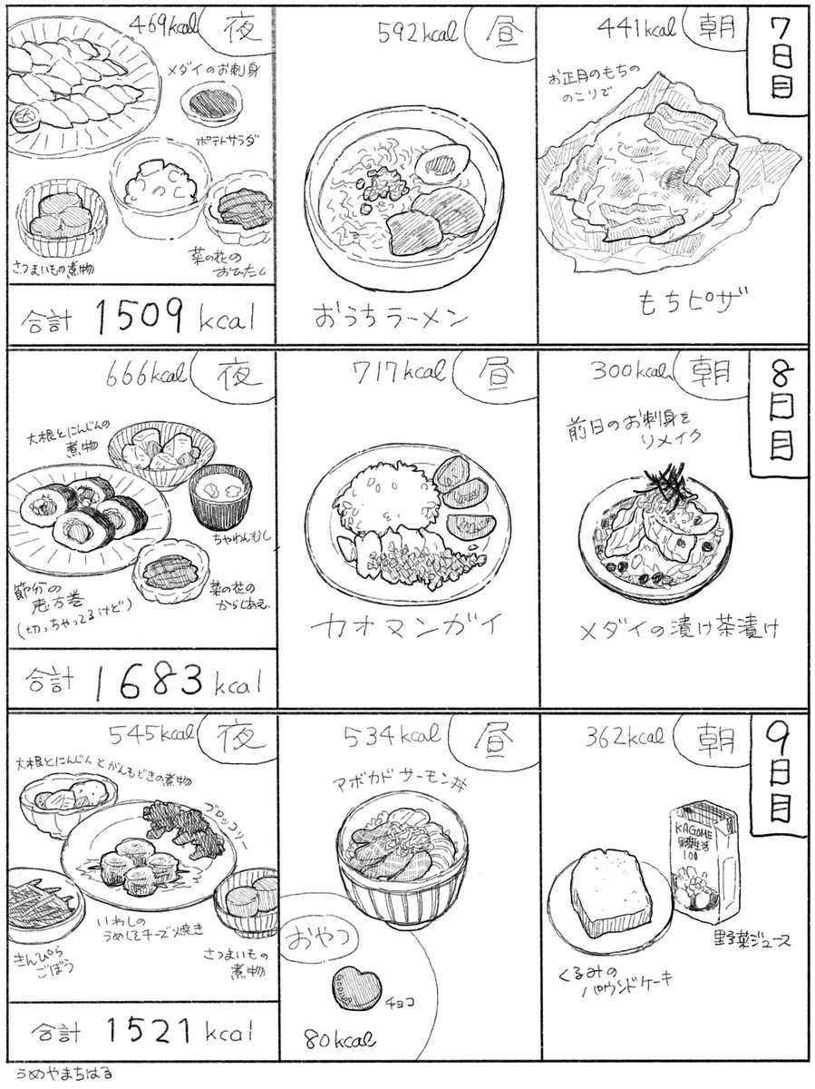 カロリー管理生活
 8日目

7日目〜9日目に食べたものまとめ

8日目の昼は人生初カオマンガイだったんですよ!ご飯はもち米で炊いて、鶏の旨味が染みたもっちもちの食感で美味しかった～!(カロリーは高い)
#絵日記
#双極性障害 
#ダイエット 