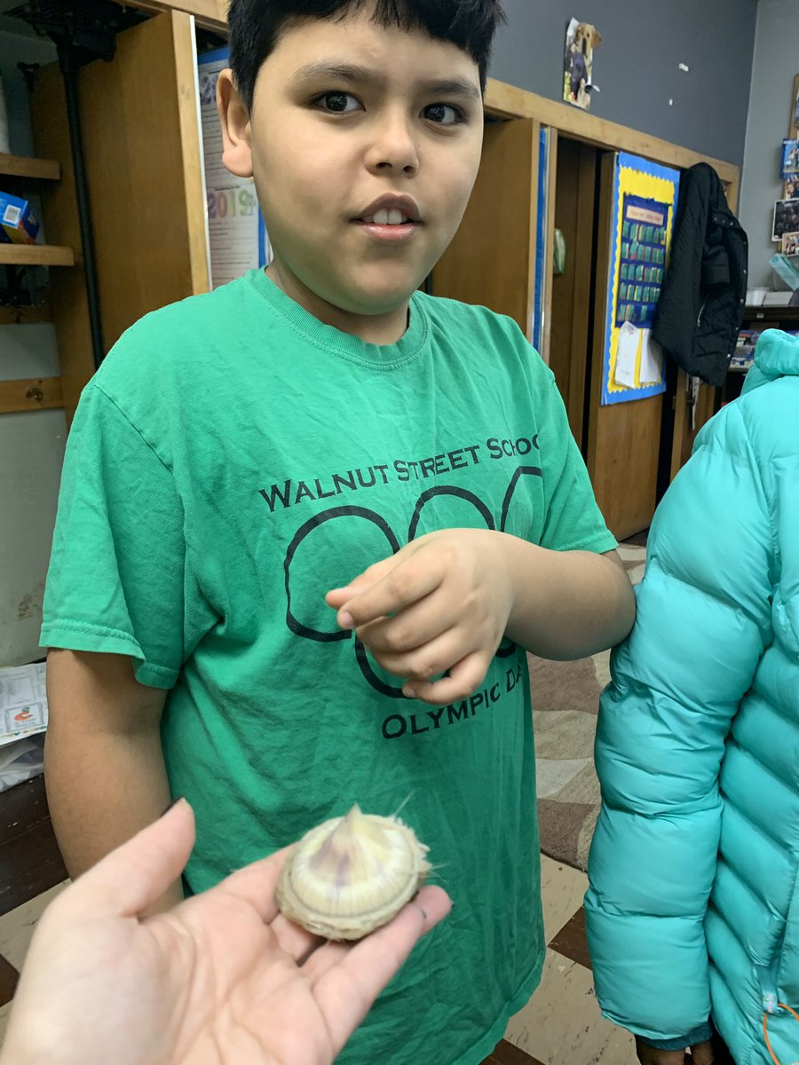 Davison Avenue tweet media