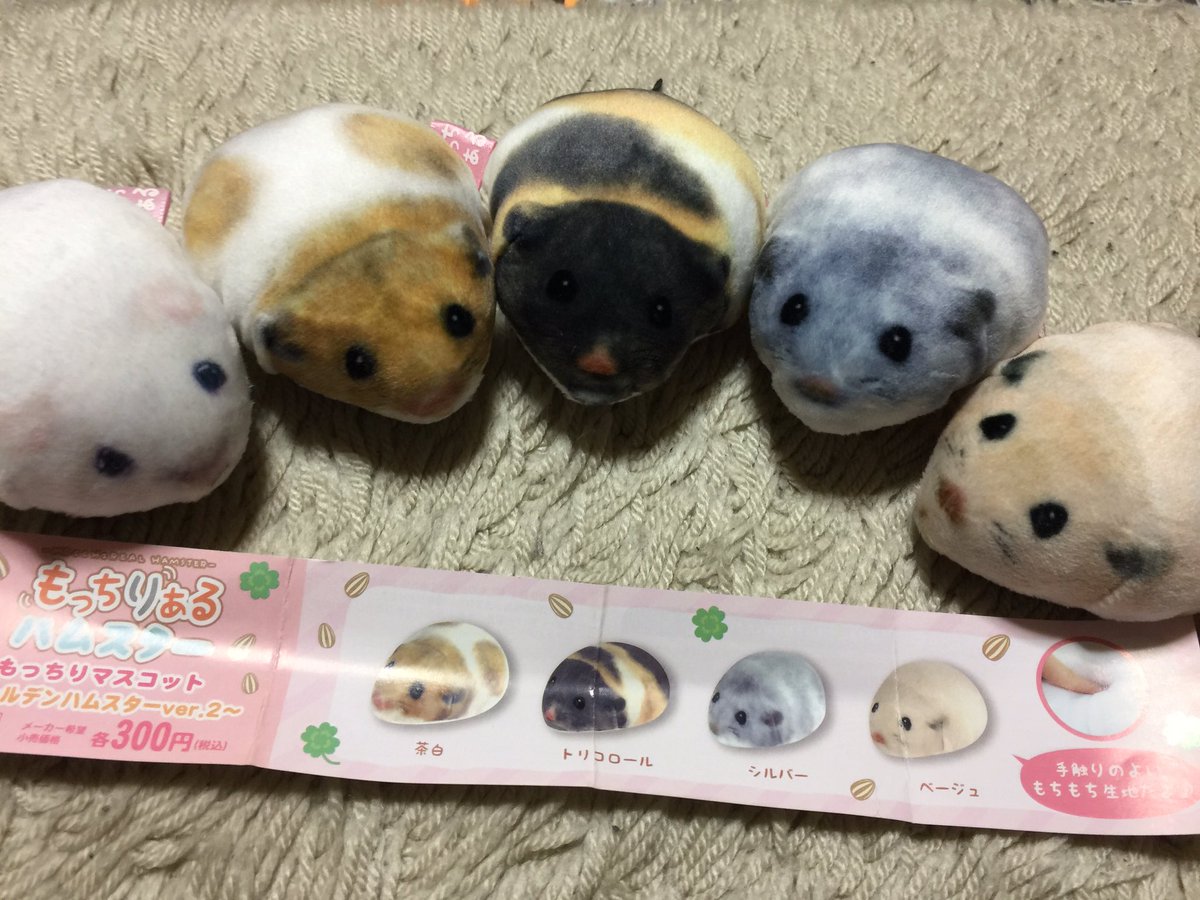 セール卸売り 3点セット もっちりある ハムスター マスコット f アウトレット特価 Cfscr Com