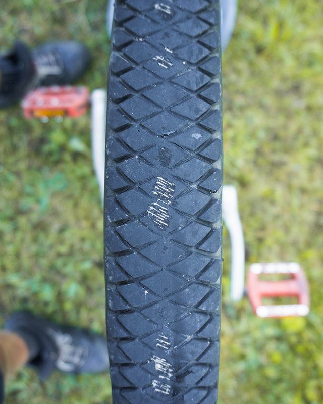 Ed Pratt tweet media