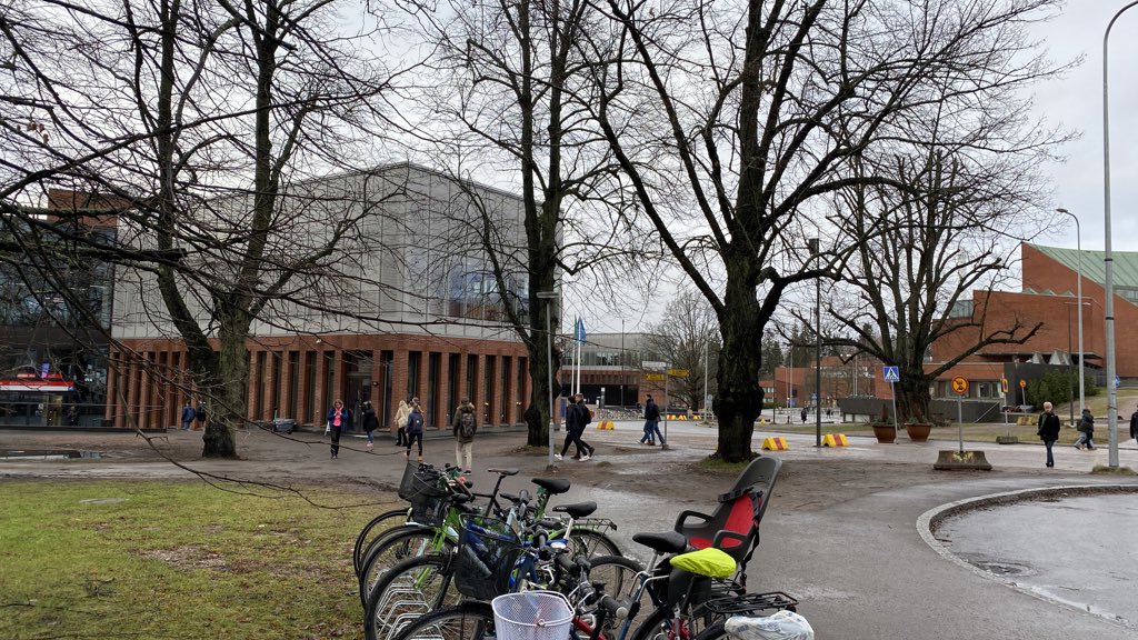 Dr Minni Haanpää tweet media