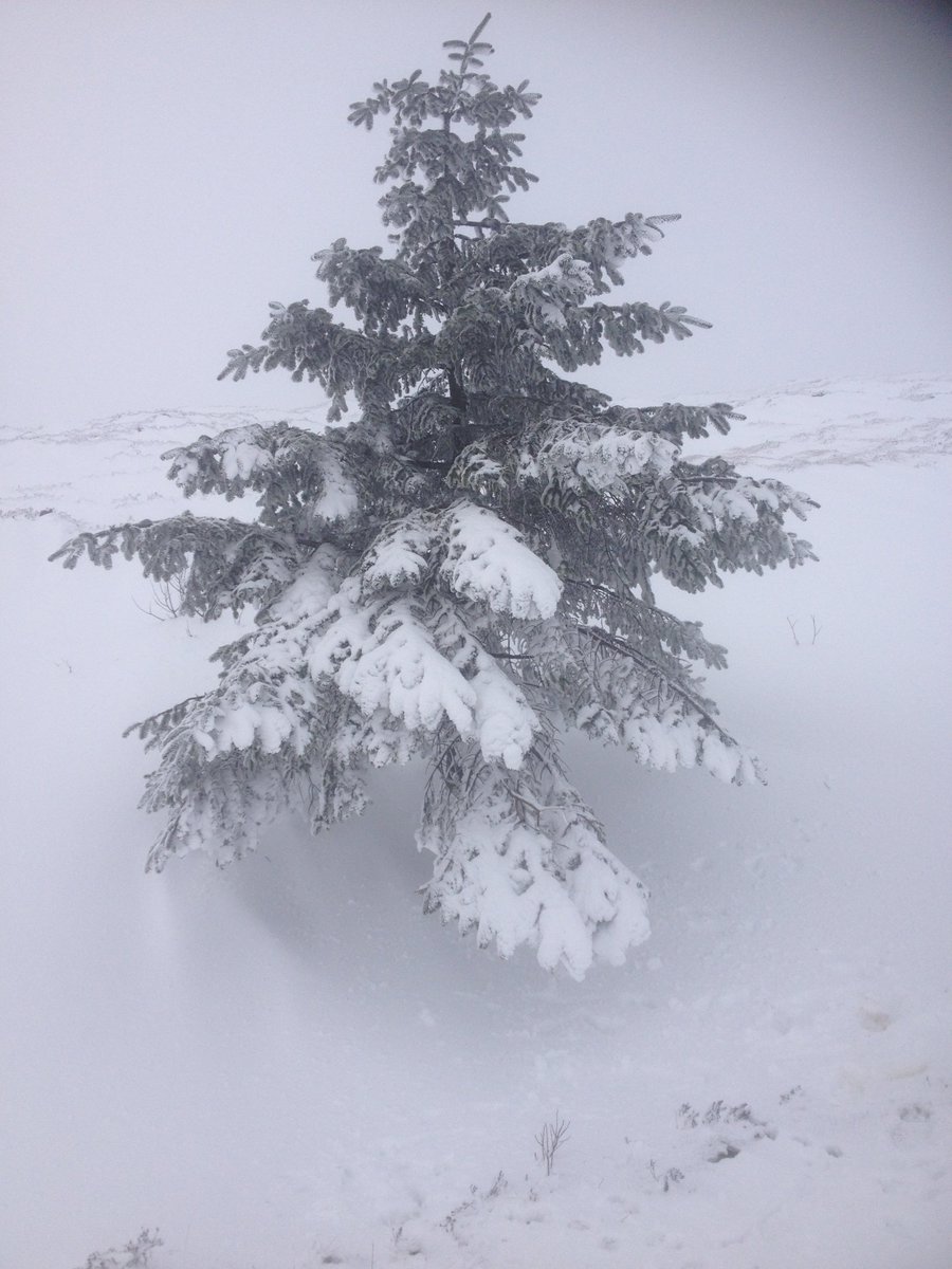 #Belfast goizez
Ez dakit zergatik,Baina elurrak badu Hala gauza magiko bat.Goitik behera erortzen dira Elur-lumak Eta behe honetan Ene eskuetan bat pausatuz Elur-lumaz idazten ari naiz goxo Letra zenbait: Ez dakit zergatik idazten dudan,Baina elurrak badu Halako gauza zehaztugabe