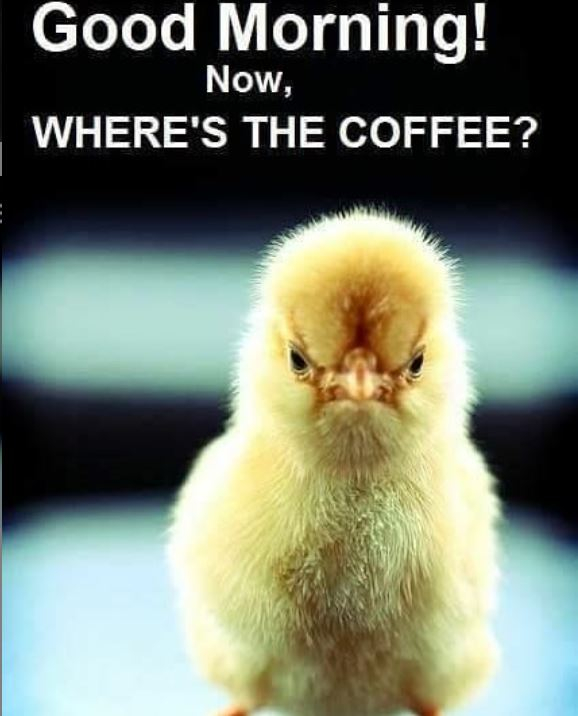 SaharaRobertsBK's tweet photo. Trying to make it over the hump.

#Coffee #Coffeelover #Coffeeholic #Coffeesnob #coffeegeek #coffeeoclock #coffeemaker #coffeeporn #coffeenerds #coffeecup#authorlife #amwriting #authors #amwritingromance #amwritingdarkromance #writingcommunity #writinglife #SaharaBytes https://t.co/UCnSkryZh8