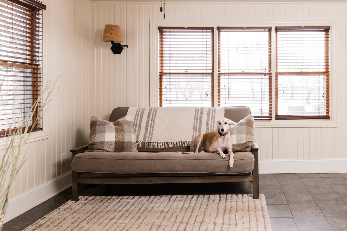 Mr. P🇺🇸 tweet media