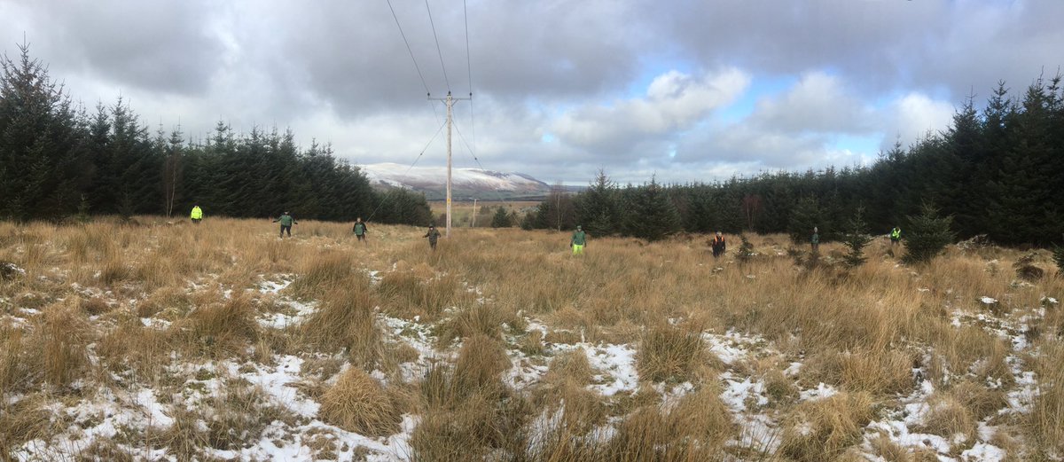 MickBiddleFR's tweet photo. Missing persons exercise on a @ForestryComm Plant Health Forestry team health and safety meeting in the Lake District. Important lessons learned to improve lone working safety. #PlanAhead #Wefoundthem https://t.co/QInldBGi9u