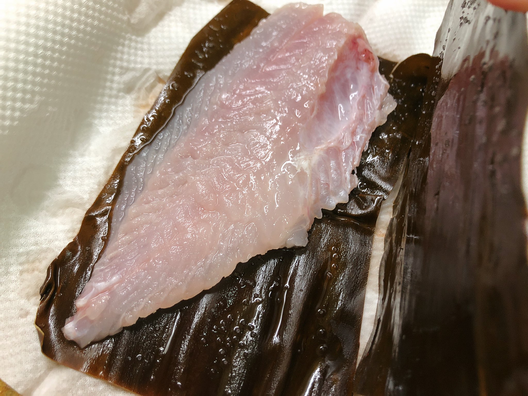 魔女っこれい 二尾目のメバルにも卵が入っていた しかも黄色 メバルの卵は黄色 オレンジ 茶色 グレーと成熟していく 三枚おろしにして一つはチルドで熟成 一つは塩を振った利尻昆布で包んで昆布締めにする