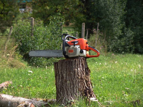 Limited availability!

5th &amp; 6th March - <a href="/LantraUK/">Lantra</a> Chainsaw Basic Felling Techniques (up to 200mm) in the Alnwick area.

Contact the office for more details.

#chainsawtraining #lantra #treefelling