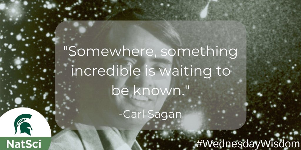 MSUNatSci's tweet image. It's up to you to go and discover it! 

#WednesdayWisdom #sciencequote #carlsagan #scienceinspiration 💭 📚 🔬 🔎