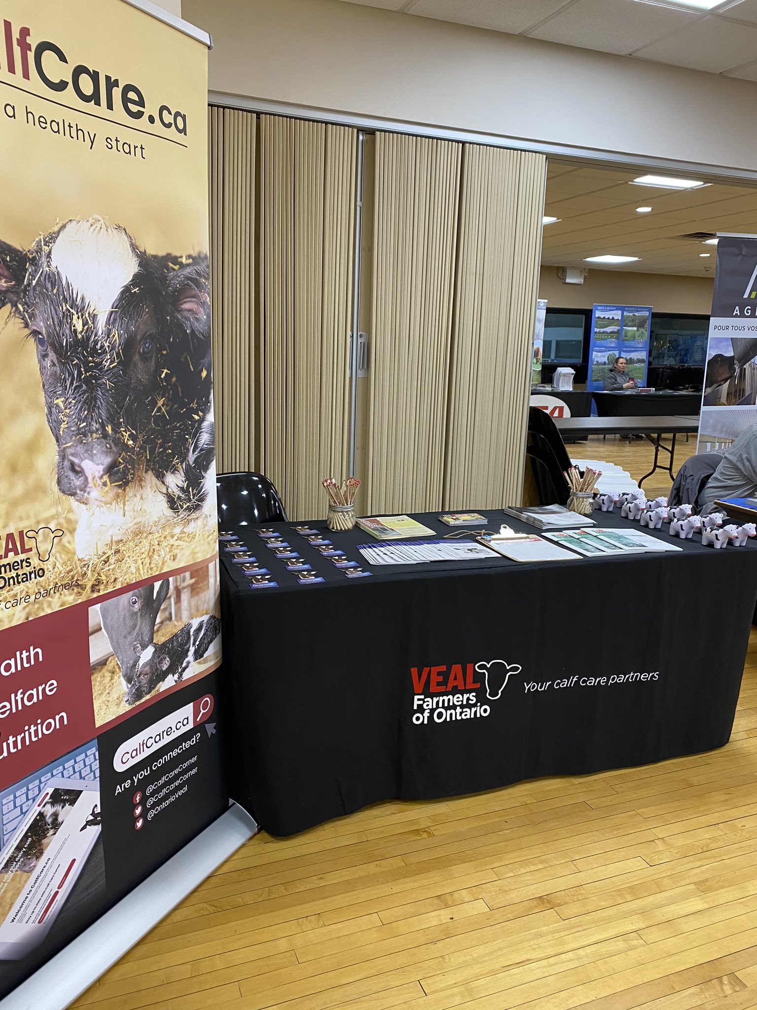 Veal Farmers of Ont. on Twitter "We are all setup in St.Isodore for