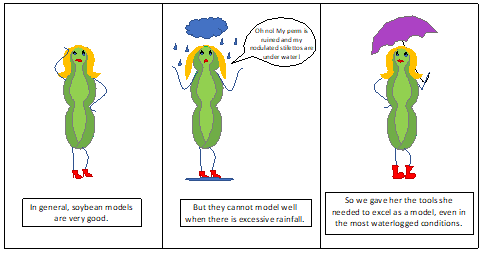 soybean apsim model soybean apsim model
