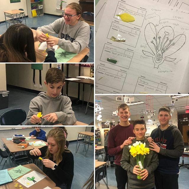 FortLeBoeufSD's tweet photo. Getting geared up for Valentine’s Day in Ms. Jones’s 8th grade science class with flower dissections. #makingsciencegreatagain #oneherd #FLBMS #middleschoolscience https://t.co/ea7stJQIG8 https://t.co/xY2u4B1N8R