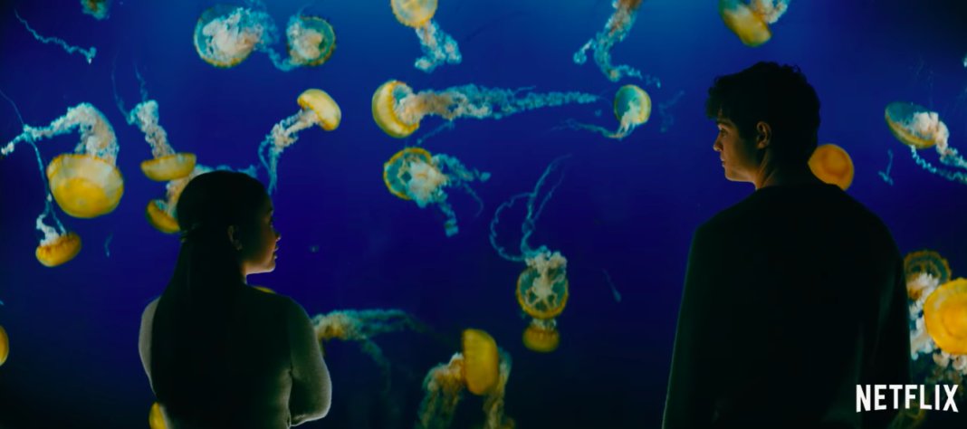 sarahbearr_16's tweet photo. Okay so this movie:
• made me happy
• made me swoon
• made me bawl my eyes out 
• made me angry
• then made me happy again

What a rollercoaster...

But the aquarium scene....did you have to break my heart like that?!#ToAlltheBoys2 https://t.co/HmLr7DrIO0