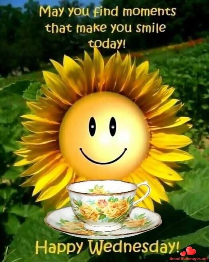 lpriceut01's tweet image. Sending Love, Prayers, &amp;amp; Hugs for a Wonderful Wednesday 💗 Even in the Rain we can Shine 🌻 #dropit #pricelessparadisefarm #littleengineerslearningacademy #fearfullyandwonderfullymade #withPricelessJules #ColourMeGraceful