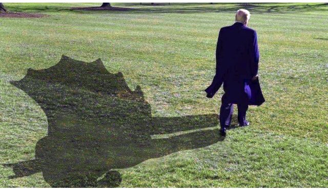 TrumpWonAgainAgain tweet media