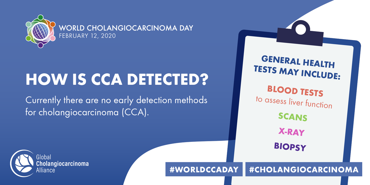 #Cholangiocarcinoma is difficult to diagnose accurately & confidently. Currently there’s no single test, so a combination of imaging scans, endoscopy techniques & existing cancer markers may be used #WorldCCADay #BileDuctCancer #CancerAwareness
worldcholangiocarcinomaday.org