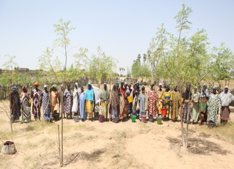 progKEY's tweet photo. Afin de lutter contre la malnutrit° dans les cercles de #Niafunké,#Gao &amp; #Ansongo, #LAFIA_PRORESA (@CatholicRelief,@Childreninmali,#ASG &amp; #Tassaght) accompagne les femmes vulnérables dans la product°, la transformat° &amp; l’utilisat° du moringa.

#progKEY @europeaid @JuttaUrpilainen https://t.co/4ssmYxlXGl