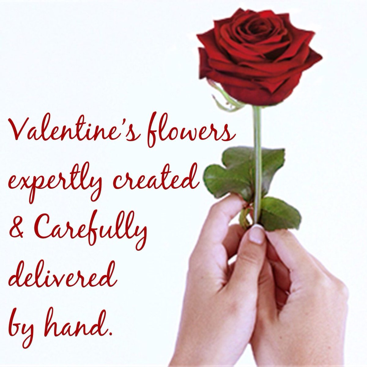 Valentine’s Day, Friday, 14th February 2020! Show your special someone just how much they mean to you. Call or visit our website to order! #ValentinesDay #Valentines #Roses #florist #pembrokeshire #pembrokeshireflorist #love #ValentinesGifts #ValentinesFlowers #ValentinesRoses