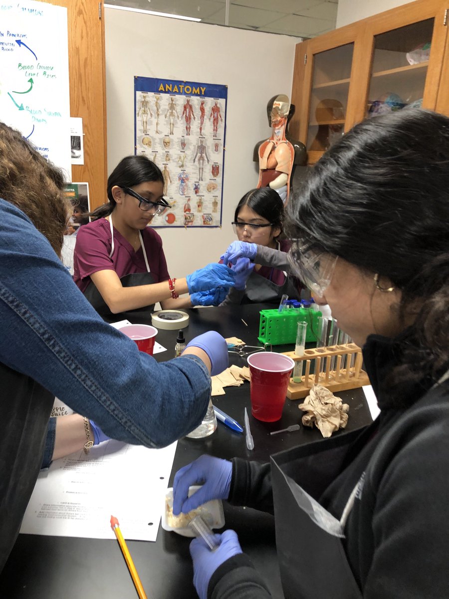 AOHS freshman performing a micro molecules lab