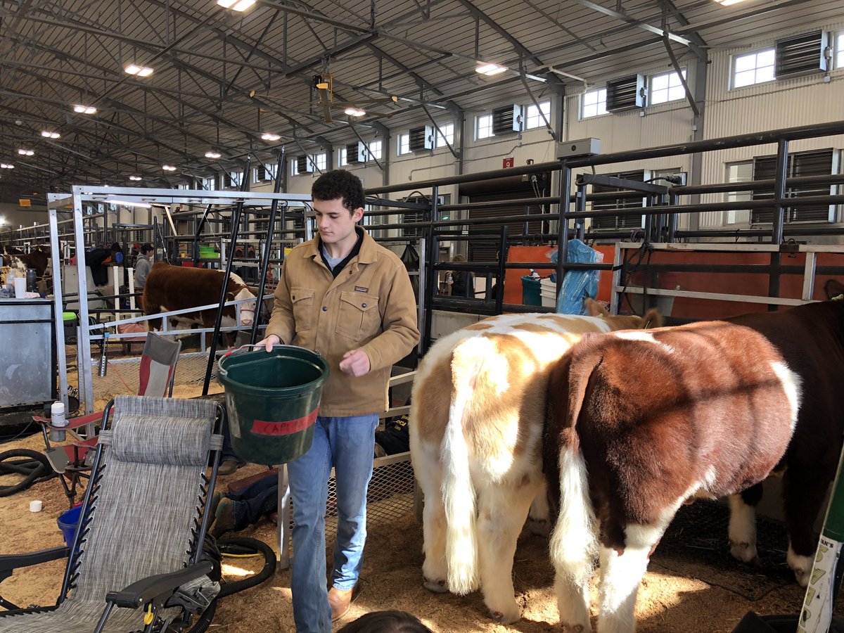 Allen FFA tweet media