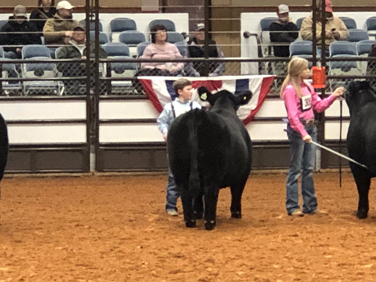Allen FFA tweet media