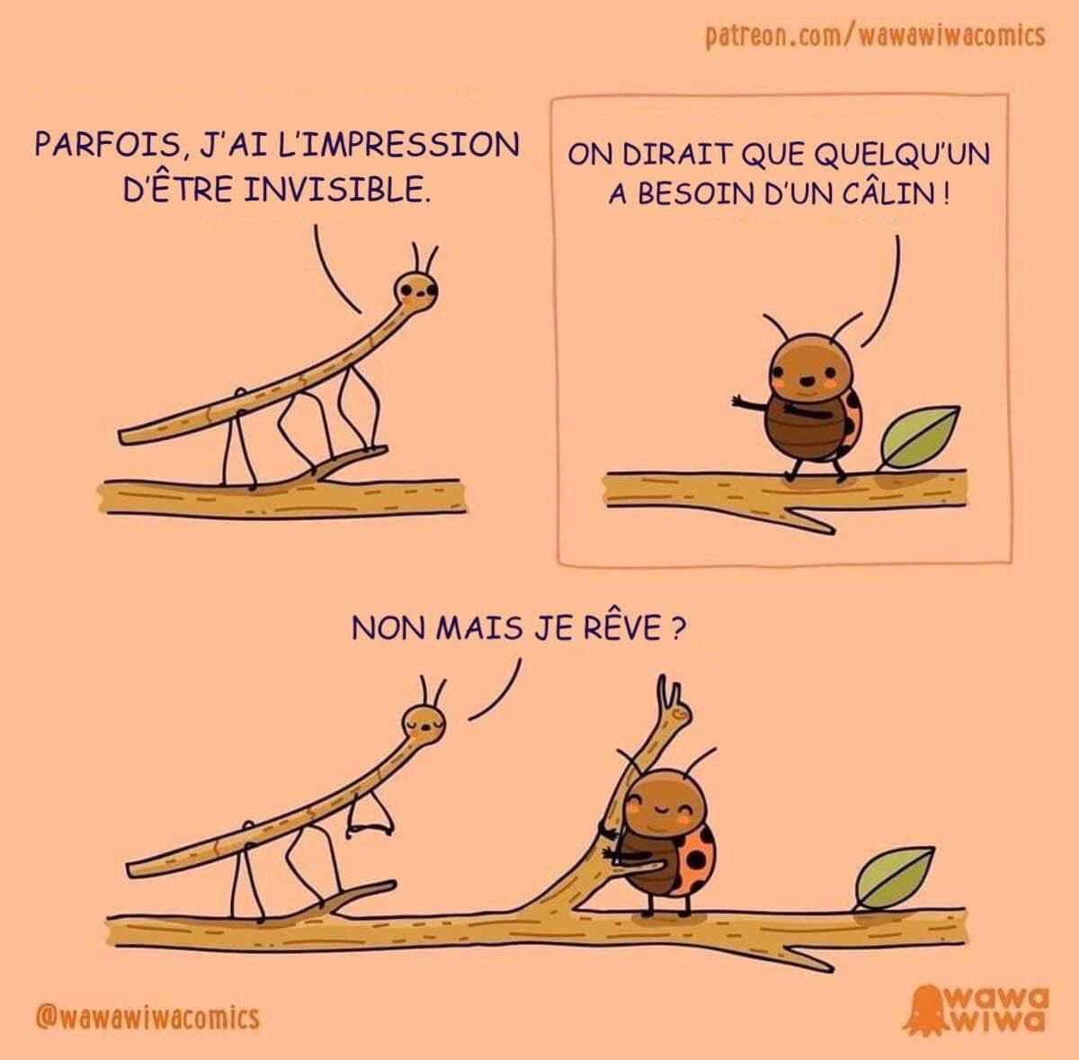 SVimaire's tweet image. #humour #phasme