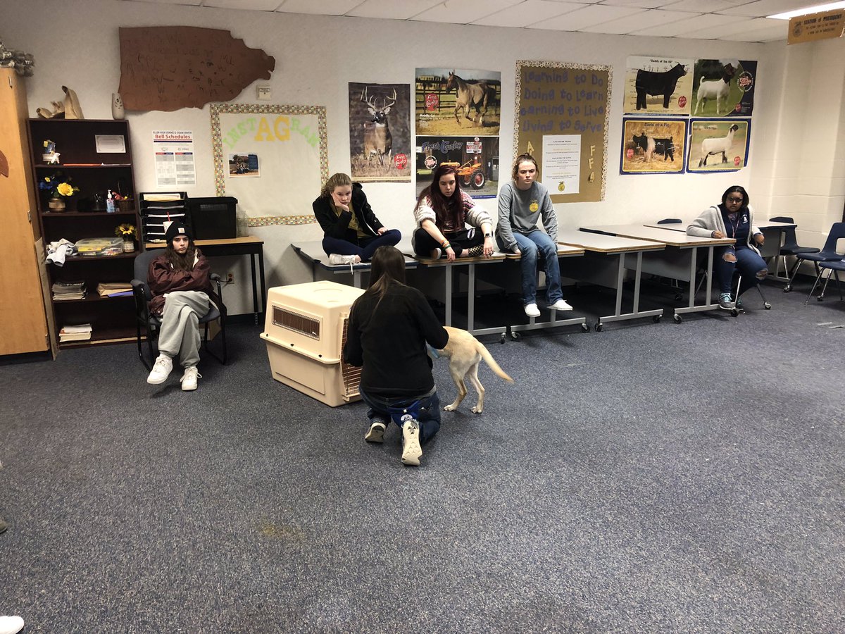 Allen FFA tweet media