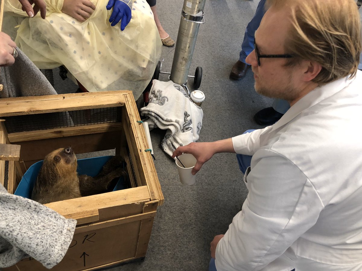 Pedro Teixeira tweet media