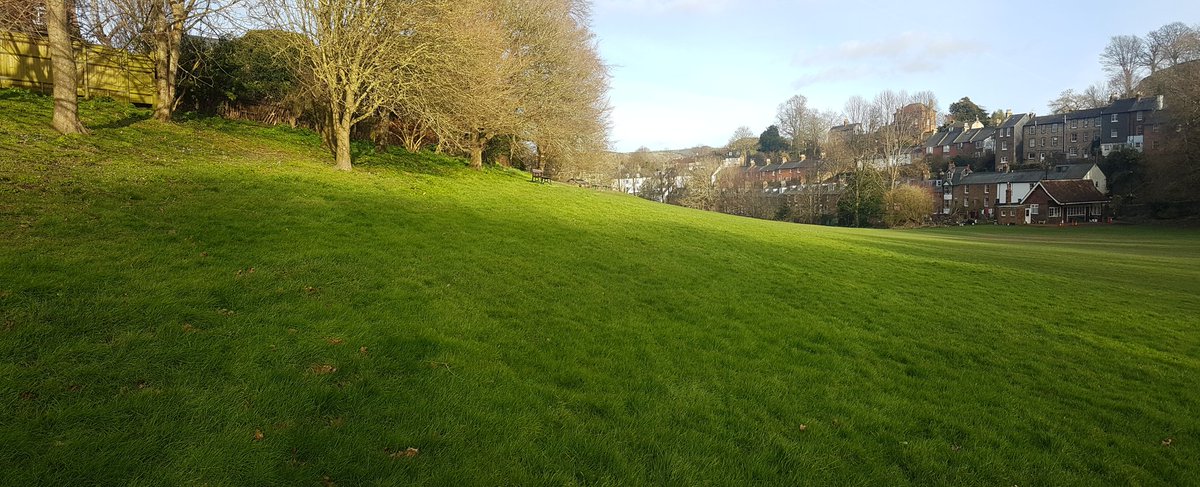 CTRH's tweet photo. @MathewsFiona @Love_plants @hedgehogsociety @DaveGoulson This area, 20 or 30 years ago only the, playing field area was regularly cut. The surrounding was cut only once or twice a year. 
Have heard that hedgehogs, grasshoppers were plentiful then. https://t.co/AWt6oga0Xm