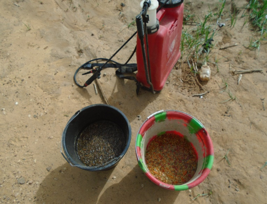 progKEY's tweet photo. Au niveau du périmètre maraîcher de #Kissim (commune de #Hombori, #Mopti), le consortium @SOS_SAHEL_ a renforcé les capacités du groupement féminin bénéficiaire (50 cheffes de ménages) sur les techniques de lutte biologique.

#progKEY #AfricaTrustFund @europeaid @JuttaUrpilainen https://t.co/dHLJWBtQFX