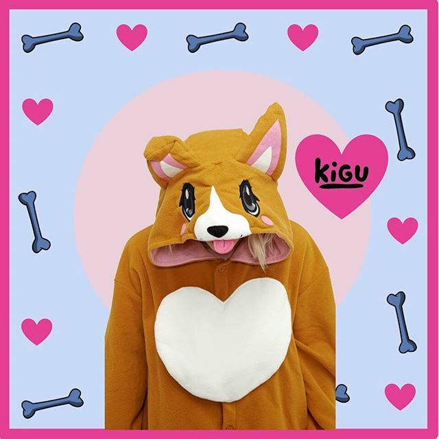 Kigu (Official) tweet media