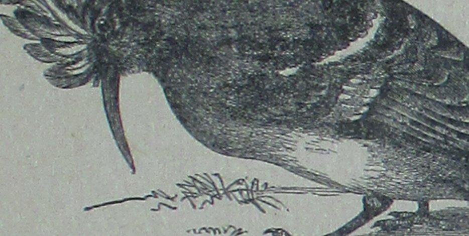 Ansgar Allen tweet media