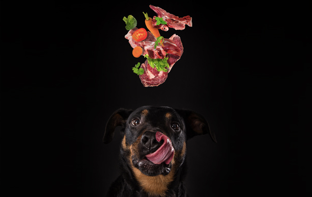 ¿Qué son y para qué sirven los antioxidantes de los alimentos? Leer más en: bit.ly/2SkAhVg #FelizMiércoles #BuenMiercoles