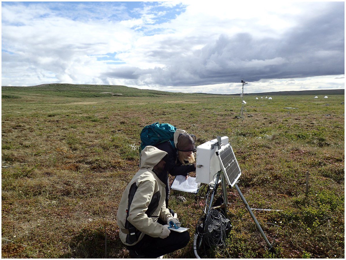 Our group is looking for new Master’s and PhD students to study tundra and peatland carbon fluxes.  DM me for more details. @CarletonDGES #eddycovariance #wetlandsresearch #peatiscool #gradschool #arctic