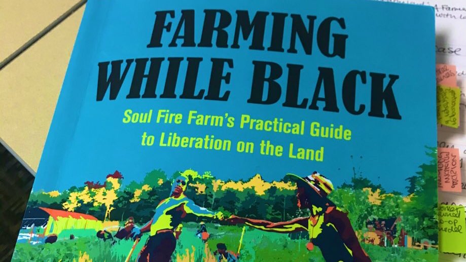 AlliHellenbrand's tweet photo. Join the @GradFoodStudies #GAFSReadingCollective discussion TODAY (1:30 PST/ 4:30 EST) on @blkfarmer (Leah Penniman's) book #FarmingWhileBlack, facilitated by @vgpvisions ! @soulfirefarm https://t.co/GMZ0vAQ2Os