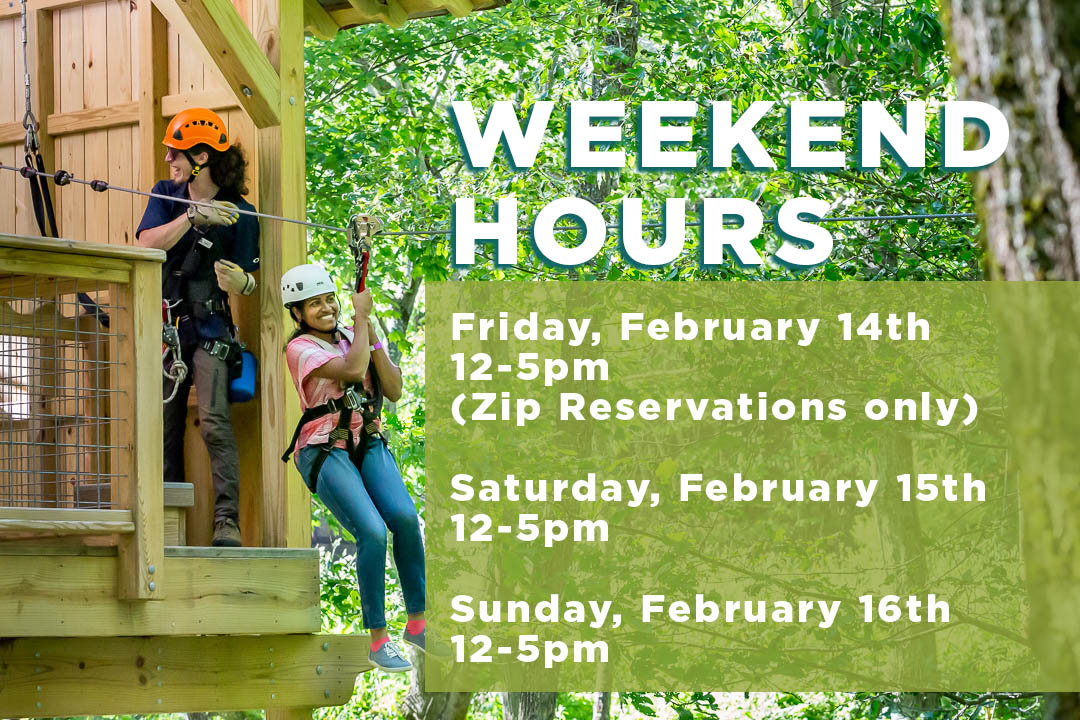 HighGravityAdventure tweet media